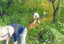緑が深く生い茂る山間部のような場所で、帽子を被った数人の作業員が、フェンス沿いや斜面の土をスコップで掘り起こしたり整えたりしながら、周囲の環境整備や道作りに取り組んでいる様子を捉えた写真