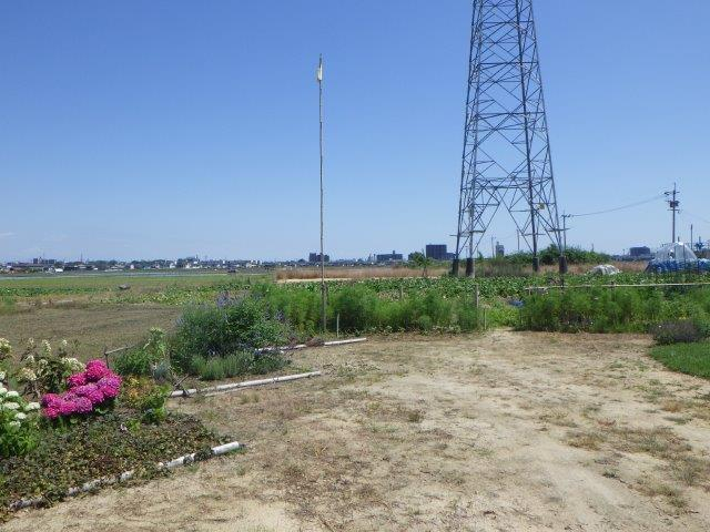 手前に鮮やかなピンク色のアジサイが咲く花壇があり、その奥には広大な農地と巨大な送電鉄塔、そして遠くの街並みが一望できる田園地帯の風景を捉えた写真