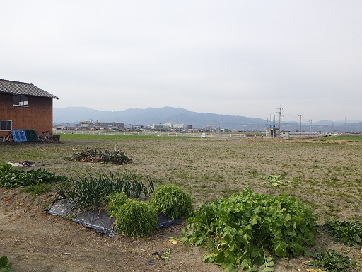 手前に大根やネギなどの野菜が育つ家庭菜園のような畑が広がり、その向こうには広大な農地や住宅地、そして遠くに霞んで見える山々が連なる、静かでのどかな日本の田園風景を捉えた写真
