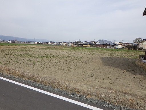 道路の白線が手前に見える整備されている乾いた平坦な畑が広がっている写真