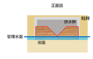 田の排水構造を示す正面図で、畦畔の間に設置された排水桝、逆三角形の切り欠きがある板、そして管理水面と田面の境界線が色分けと文字ラベルで示された田んぼダム図