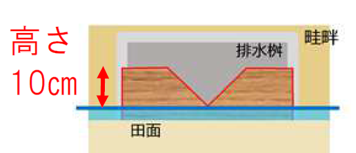 水田の排水桝に設置された逆三角形の切り欠きを持つ堰板の正面図で、管理水面から板の上端までの高さが「10センチメートル」であることを赤い両矢印で明示した田んぼダム図