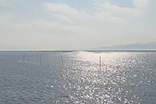 穏やかな海面に陽光がきらめき遠くへ伸びる杭列と霞む水平線が広がる静かな景観の写真