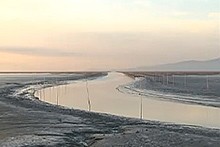 夕暮れの干潟に細い水路がゆるやかに弧を描き並ぶ杭列と淡い空の光が水面に柔らかく映る写真