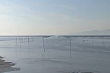 穏やかな海面に等間隔で並ぶ細い杭が遠くの水平線へ続き柔らかな光が水面に広がる写真