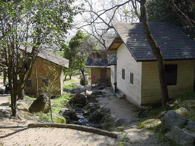 木々に囲まれた緩やかな斜面に建つ数棟の木造バンガローと、その間を流れる小さな小川のせせらぎ、そして周囲の岩場や未舗装の小道が調和した、静かで落ち着いた山間の風景を捉えた写真