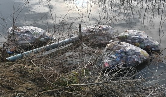 枯れ草が混じる水辺の茂みに、大量のプラスチックごみなどが詰め込まれた透明なごみ袋が4つ、不法に投棄されて水面に浮かんでおり、銀色のパイプが突き出しているのが見える汚染された水辺の光景を捉えた写真