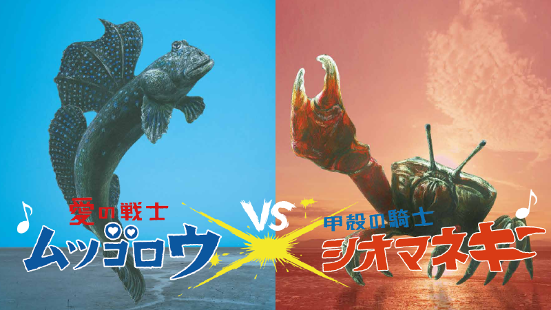 青と赤の背景にムツゴロウとシオマネキが対峙し、躍動感あるポーズと派手なVS演出の表現が強調された写真(「ガタバトル」~愛の戦士ムツゴロウ vs 甲殻の騎士シオマネキ~のページへリンク)