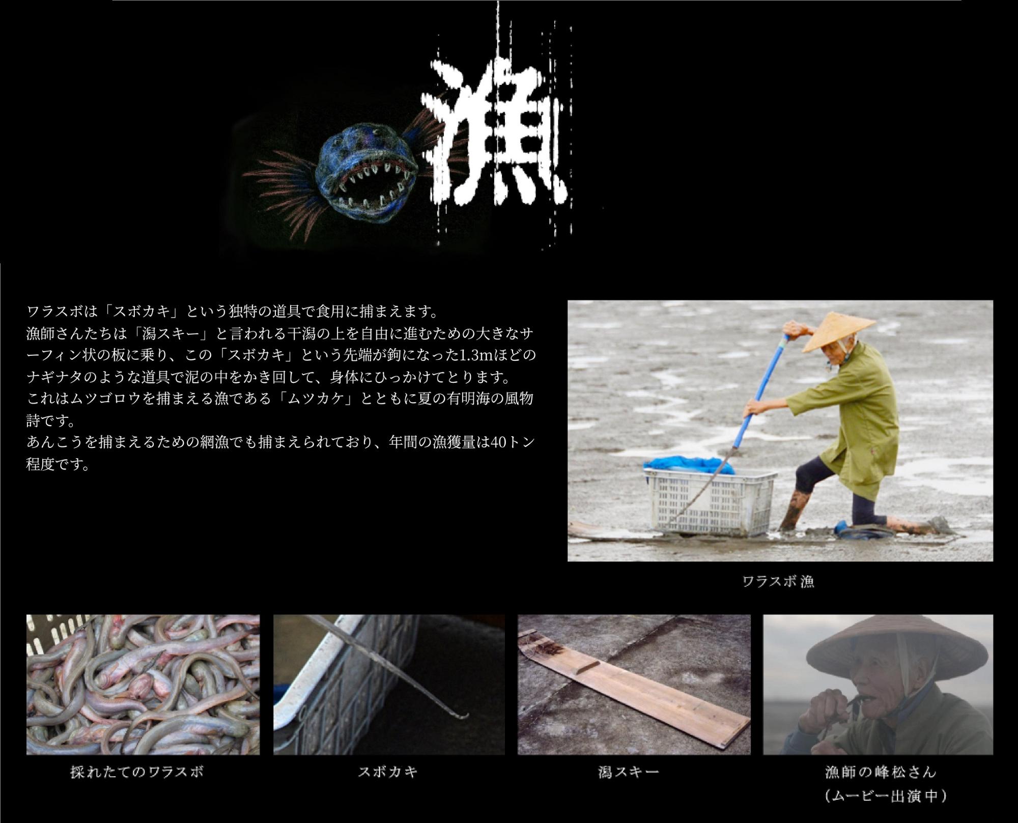 ワラスボ漁についての画像