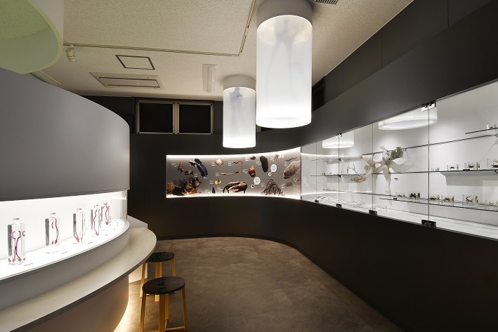 モダンな博物館の展示室内で、緩やかにカーブした黒い壁面に沿って標本や解説パネルが並び、天井からは円柱型の白い照明が吊るされ、左手前のカウンターには透明な瓶に入った標本がライトアップされている、洗練された空間の写真