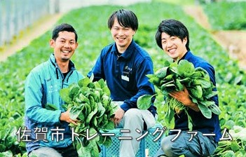 「佐賀市トレーニングファーム」の文字と青々としたホウレンソウが広がる畑を背景に、収穫したばかりのホウレンソウを抱えて満面の笑みを浮かべる3人の若い男性が写っている写真