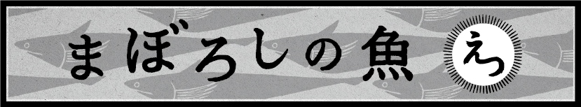 薄いグレーの魚が背景に重なり合うように描かれた中央に、手書き風の力強い黒い文字で「まぼろしの魚」と記され、その右側の白い円の中に一文字で「えつ」と書かれたロゴのようなデザインのバナー画像