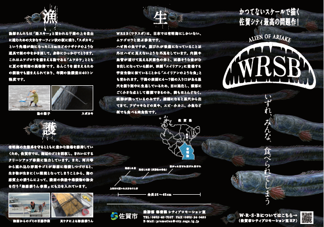 W・R・S・B リーフレット画像