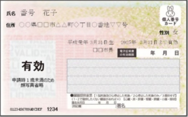顔写真なしマイナンバーカードの画像