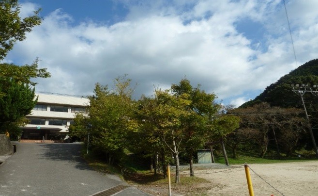 緩やかな坂道の先に建物が見え、青空の下で並ぶ木々と広場が広がる静かな風景の写真