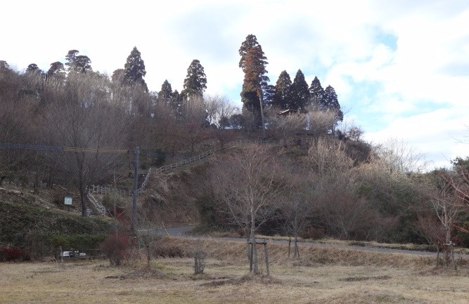 冬枯れの木々が広がる斜面に続く細い山道と階段が見え、頂上付近に背の高い針葉樹が並んで立つ静かな風景の写真