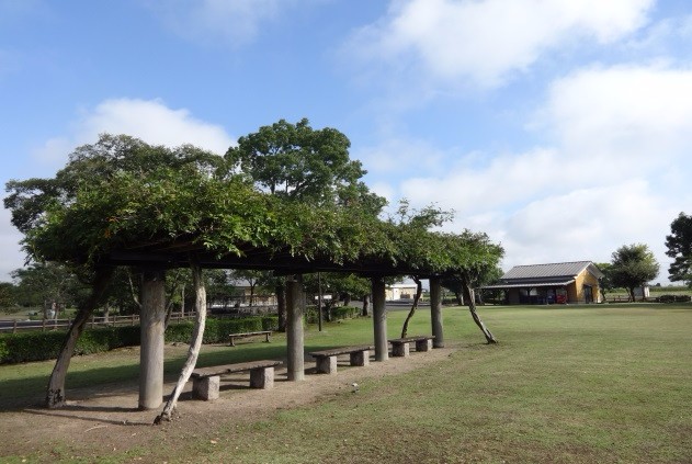 青空が広がる芝生公園内に、青々と茂った植物が屋根のように覆う大きなパーゴラがあり、その下には複数のベンチが並べられ、奥には小さな建物や木々が点在する、のどかな休憩スペースの風景を捉えた写真