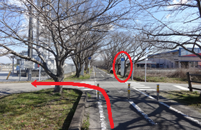 落葉した桜並木がアーチ状に続くサイクリングロードにおいて、赤い矢印が手前から左折する経路を示しており、交差点の先には進入禁止のポールと青い標識、さらに右奥には「ふるさとちびっこギャラリー」と書かれた看板に赤丸がされている写真