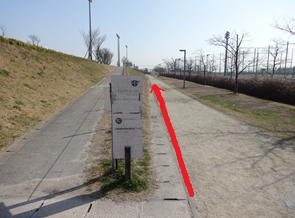 芝生の斜面と未舗装の歩道に挟まれた舗装路の脇に、コース図が描かれた白い案内板が立っており、右側の歩道沿いには赤い矢印が描かれ、遠くにスポーツ施設のフェンスや照明塔が見える、晴天の日の公園内を捉えた写真