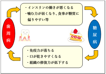 歯周病と糖尿病の関係性を示した図