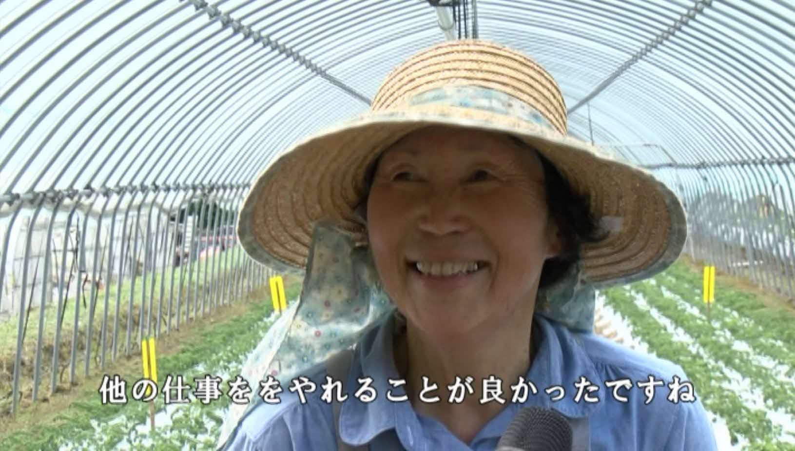 ビニールハウスの中で、麦わら帽子を被った女性が「他の仕事ををやれることが良かったですね」というテロップとともに、背後の農作物を背に晴れやかな笑顔で写された写真