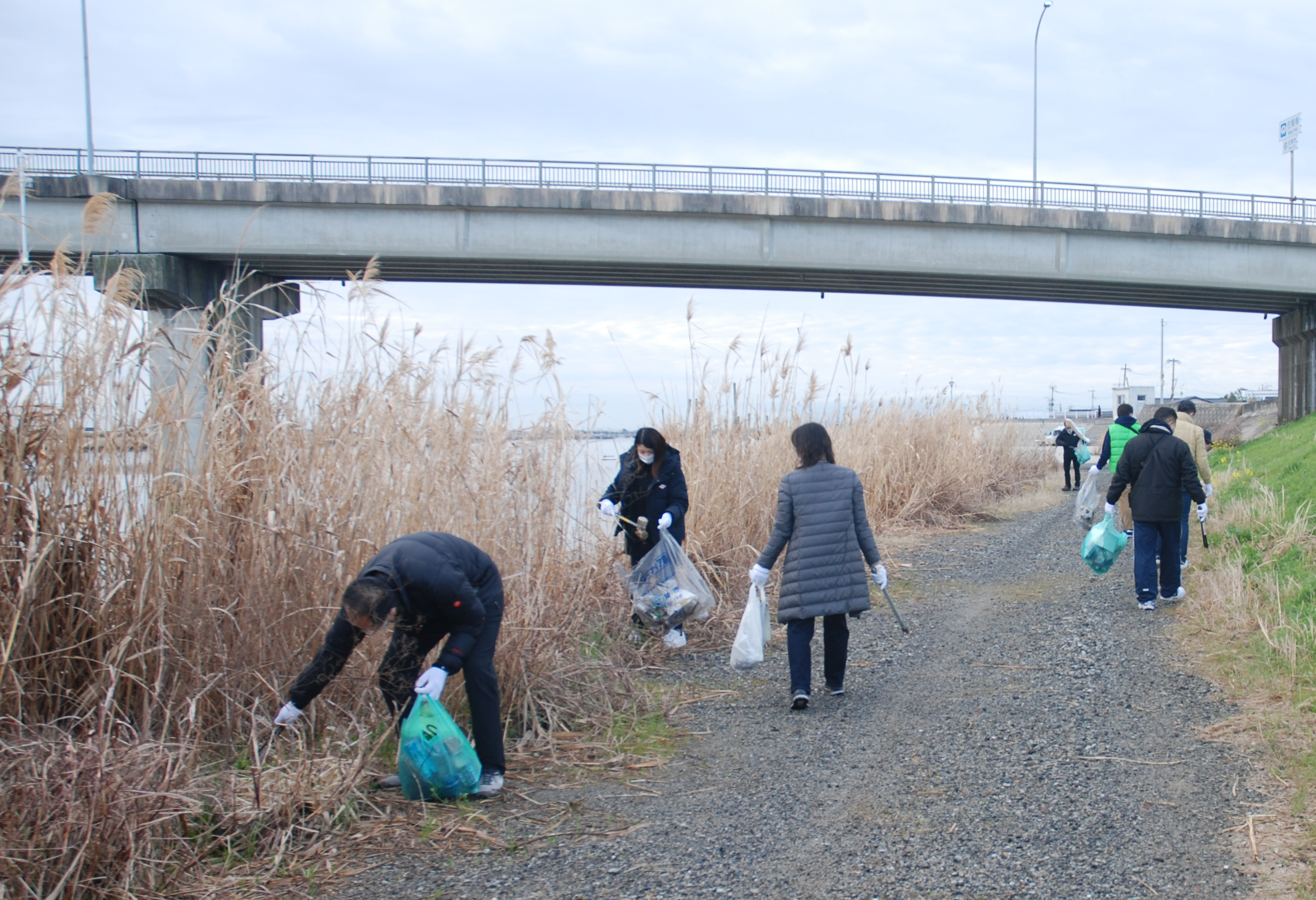 曇り空の下、大きな橋が架かる川沿いの土手で、数人の男女が軍手をはめてゴミ拾いを行っており、枯れた葦の間にあるゴミを丁寧に拾い集めながら環境保全に取り組んでいる様子の写真