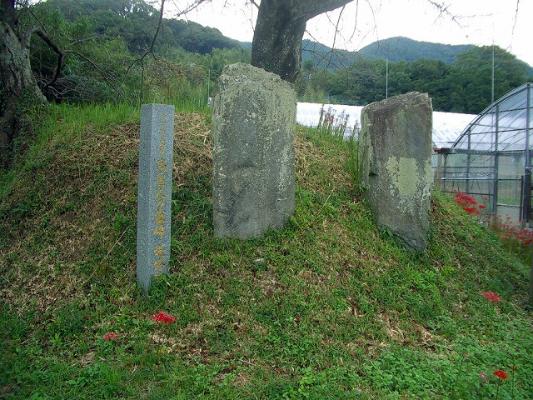 青々と茂る草が生い茂る小さな盛り土の上に、大きな樹木が枝を広げて立っており、その根本に二基の古い石碑と案内板のような木柱が並んで設置されている、山とビニールハウスを背景にした歴史的な史跡の高麗人の墓碑・逆修碑の写真
