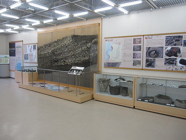 明るい照明の展示室内に、土層の断面を再現した巨大なパネルや出土した土器が並ぶガラスケース、遺跡の解説ボードが整然と配置されており、地域の歴史や発掘調査の成果を詳しく紹介している、博物館の展示風景の写真