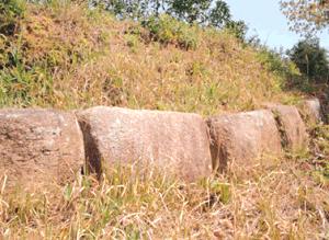 枯れ草が茂る緩やかな傾斜地の途中に、赤みを帯びた大きな長方形の石が横一列に並べられている帯隈山神籠石の写真