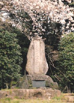 満開の桜の花が枝いっぱいに咲き誇る春の風景の中で、背の高い常緑樹の生垣に囲まれるようにして、表面に文字が刻まれた自然石の大きな石碑が重厚な石の台座の上に直立している様子を捉えた、静かで厳かな雰囲気の漂う「葉隠発祥の地」の写真