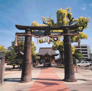重厚な石造りの鳥居が建ち、その奥へと続く参道の先に社殿が構え、背後には鮮やかな緑の葉を茂らせた大きな御神木がある佐賀八幡宮石造肥前鳥居を正面から捉えた写真