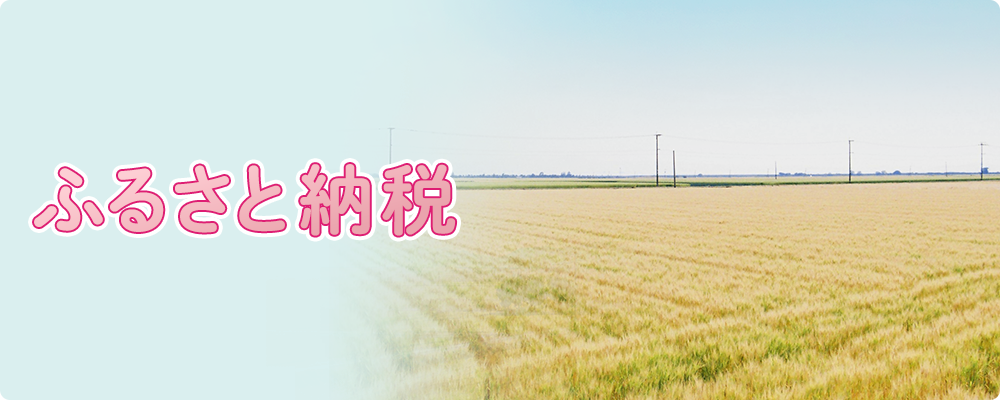 ふるさと納税