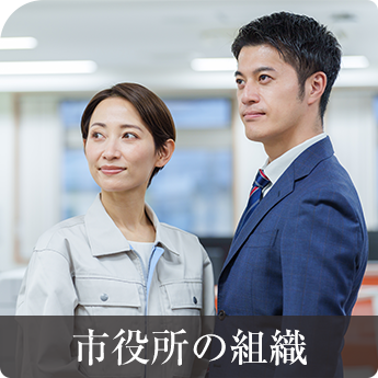 市役所の組織
