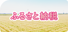 個人版ふるさと納税