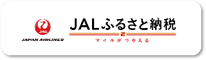 ジャルふるさと納税佐賀市の返礼品