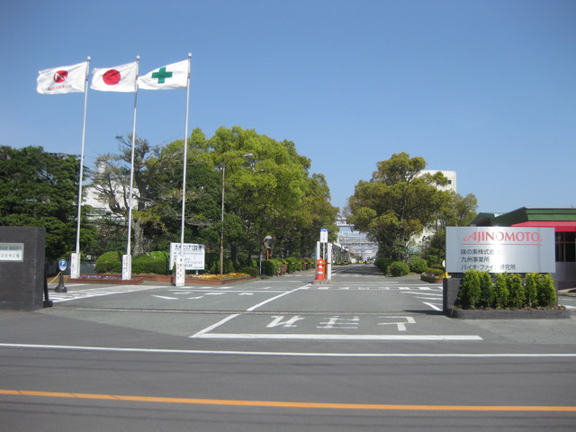 味の素株式会社九州事業所の入り口で、右側に赤いロゴ入りの看板が立ち、左側の高いポールには社旗、日本国旗、安全旗の三旗が青空にたなびき、奥へと続く道路の両脇には豊かな緑の木々が並んでいる工場の正門写真