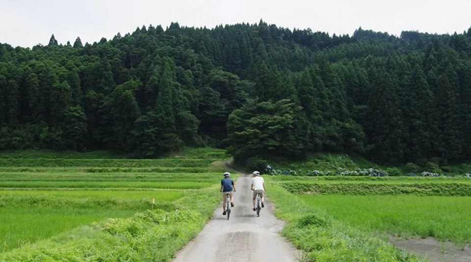 ヘルメットを着用した二人の人物が、鮮やかな緑が広がる田園地帯の真っ直ぐな一本道を、奥にそびえ立つ深い森の山並みに向かって並んで自転車で走っていくサイクリングの様子を捉えた写真
