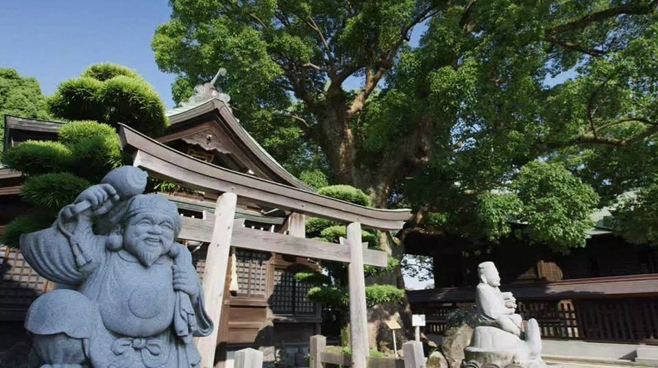 青空の下、立派な木々に囲まれた神社境内に置かれた恵比須像が、打ち出の小槌を掲げて穏やかに微笑んでおり、背後には鳥居と伝統的な社殿の屋根が重なり合うように映し出された、神聖で落ち着いた雰囲気の風景写真