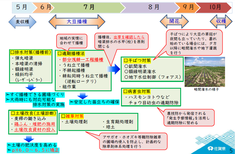 大豆の単収を図る技術についてのフロー図