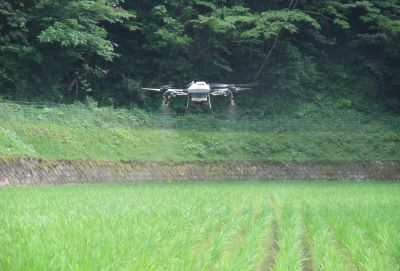 青々とした稲が並ぶ水田の上空で、白い機体の農業用ドローンが低空飛行をしながら薬剤を散布しており、背景には深い緑の木々が茂る山裾と石垣の土手が見える、農作業の自動化が進む様子を捉えた景色の写真