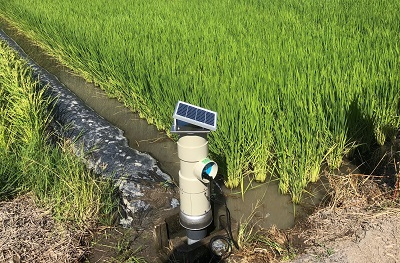 青々と育った稲が広がる水田の端に、小型のソーラーパネルを上部に備えた円筒形のスマート農業用センサー端末が設置されており、豊かな自然環境と先端技術が融合して効率的な水管理が行われている様子を近距離から捉えた写真