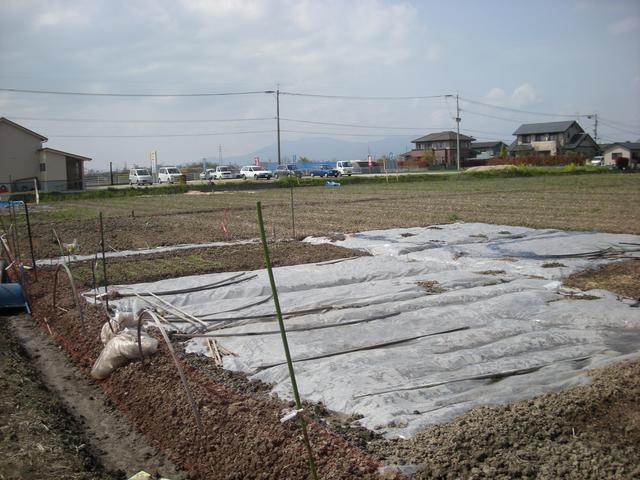 手前に盛り土された畝の一部が白いビニールシートで覆われた家庭菜園があり、その奥には広大な農地と住宅街が広がる、作付け準備中の田園風景写真