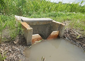 屋外の水田に設置されたコンクリート製の排水桝に、水位調節のための逆三角形の切り欠きがある木製の板が差し込まれ、実際に水が溜まっている様子を写した写真