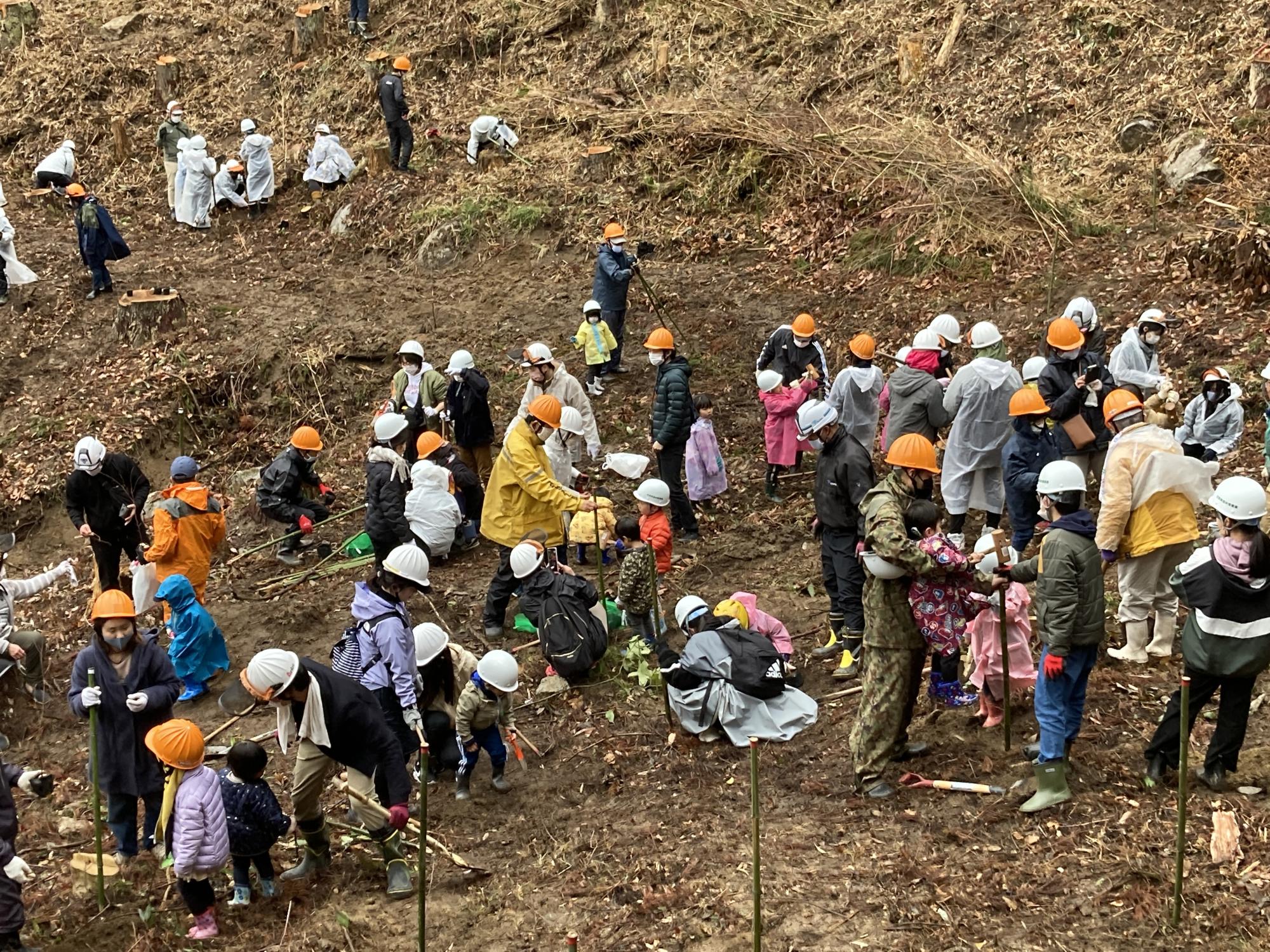傾斜した山肌で多くの子どもと大人がヘルメットや雨具を身につけ、協力しながら植栽作業に励む光景の写真