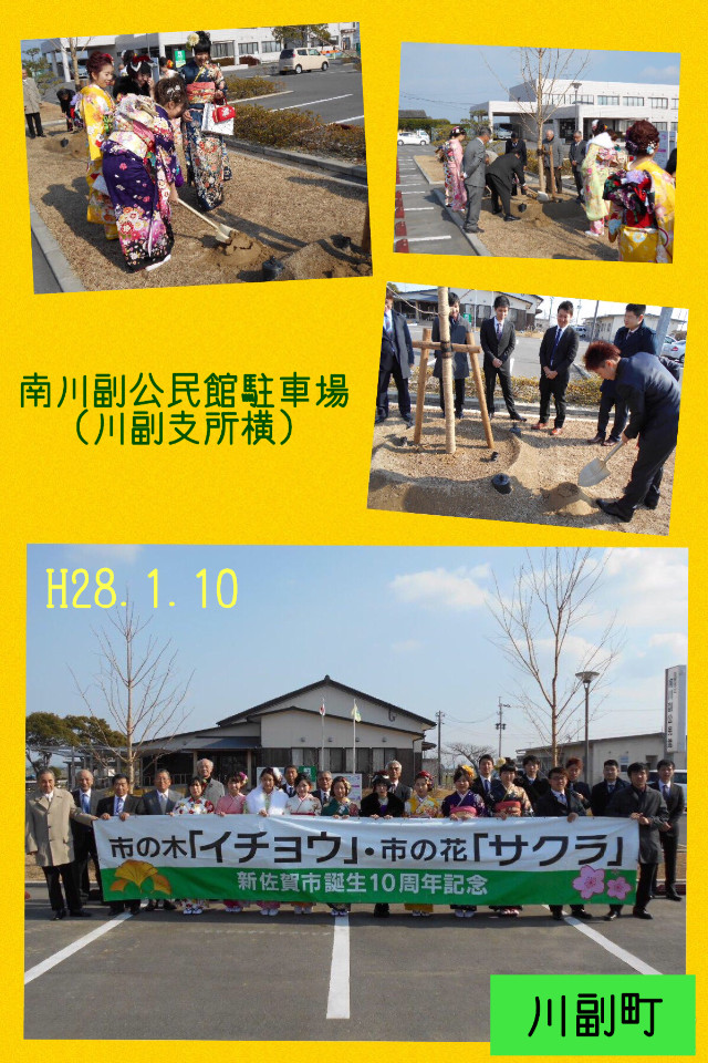 川副町の南川副公民館駐車場で行われた、新成人による「市の木イチョウ・市の花サクラ」の記念植樹にて、華やかな振袖やスーツ姿の若者たちが横断幕を掲げて記念撮影し、笑顔で苗木に土を掛ける様子をまとめたコラージュ写真