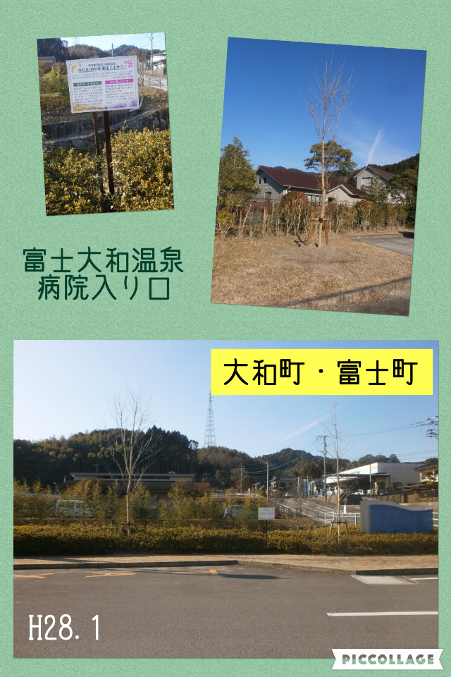 大和町の富士大和温泉病院入り口で行われた記念植樹にて、青空の下で若木が植えられた現地の風景や、詳細が記された説明看板をグリーンの背景に配置して記録したコラージュ写真