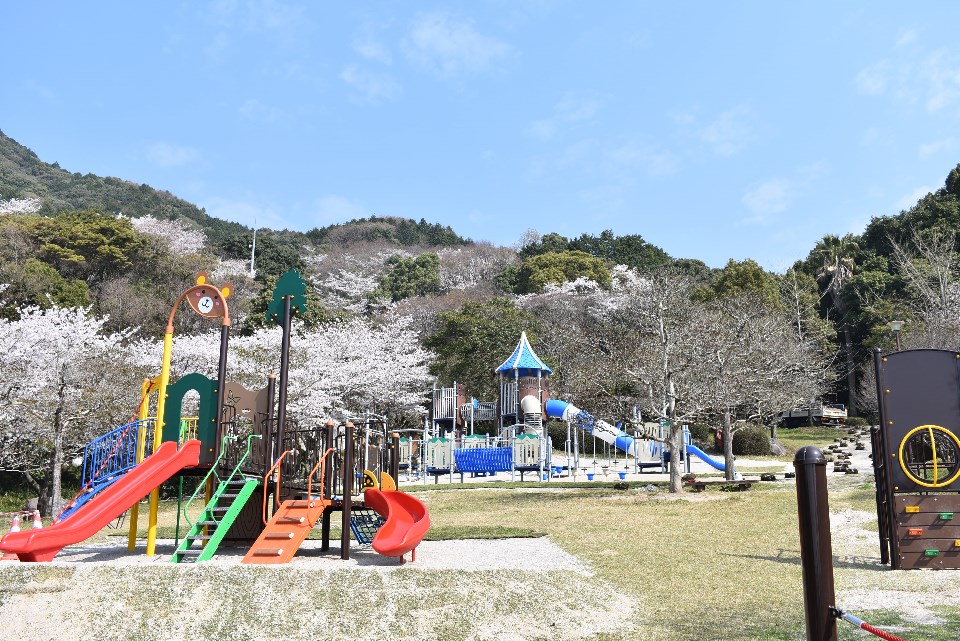 青空の下、満開の桜が咲き誇る山々を背景にして、クマの顔が描かれたカラフルな複合遊具や青いトンネル滑り台を持つ大規模な遊具が芝生広場に並び、自然と調和したのどかな公園の風景を広く捉えた写真