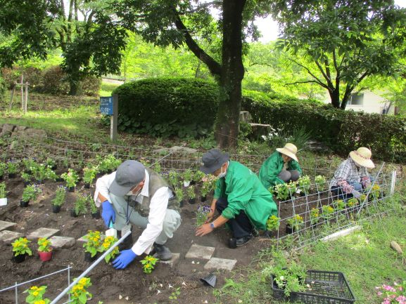 木々の下にある花壇で、帽子を被った男女が等間隔に並んで色とりどりの花の苗を丁寧に植えており、手前では青い手袋をした男性が移植ゴテを使って作業に集中している屋外での作業風景を捉えた写真