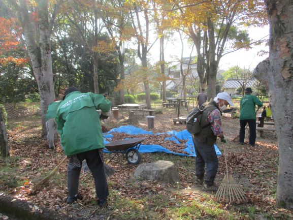 公園で、緑色のジャンパーを着た作業員たちが竹箒や熊手を使って地面に積もった大量の落ち葉を丁寧に掃き集め、中央のブルーシートや手押し車にまとめて回収している屋外での作業風景を捉えた写真