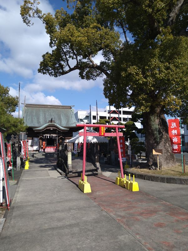 境内へ続く参道に赤い簡易鳥居や幟が並び、大樹のそばに拝殿が堂々と佇む龍造寺八幡宮の写真